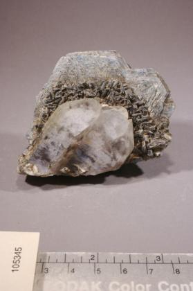 Muscovite