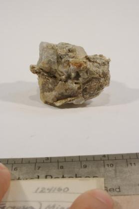 Sinkankasite