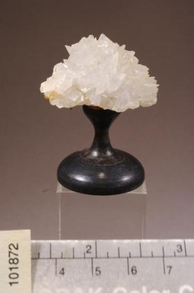 Creedite