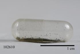 Columbite-(Fe)