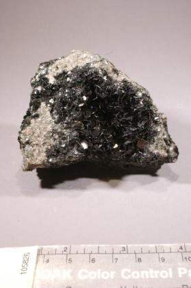 Biotite