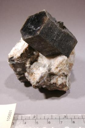 Muscovite