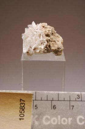 Bertrandite