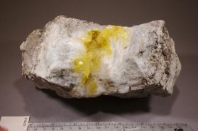 Colemanite