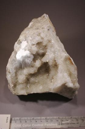 Ulexite