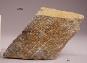 biotite schist