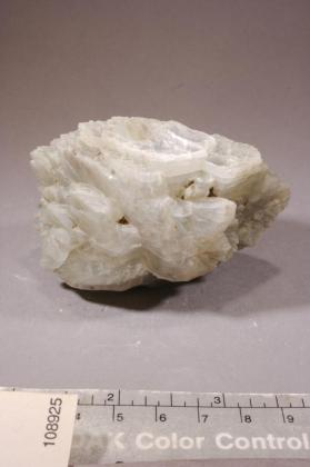 Tunellite