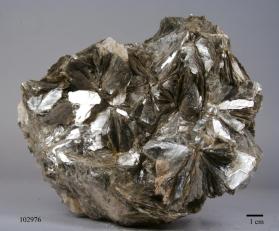 Muscovite