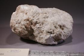 Ulexite