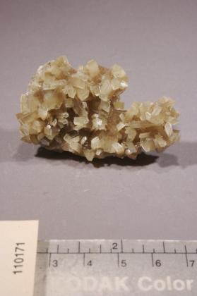 Muscovite