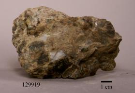 vorhauserite