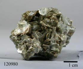 Muscovite