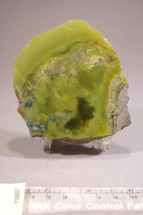 Antigorite