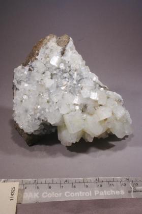 Apophyllite