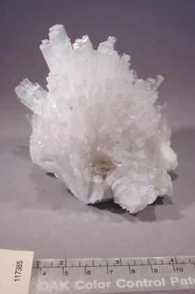 SCOLECITE