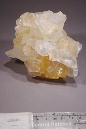 Colemanite