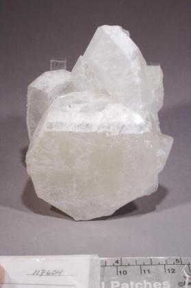 Colemanite