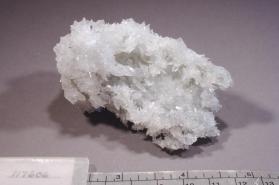 Colemanite