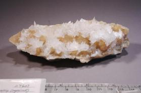 Colemanite