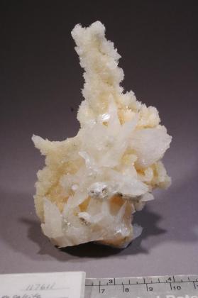 Colemanite