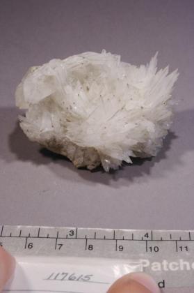 Colemanite