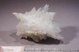 Colemanite