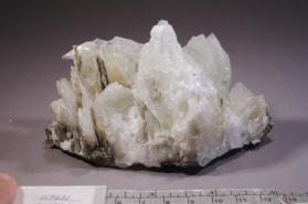 Colemanite