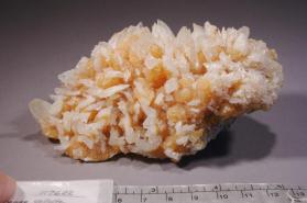 Colemanite