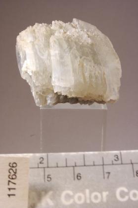 Tunellite