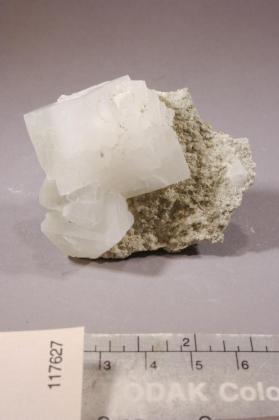 Tincalconite