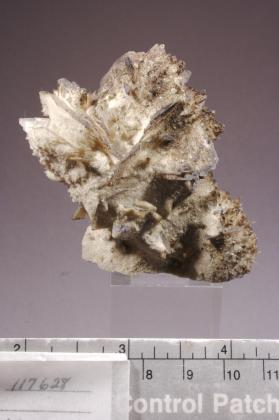 Colemanite