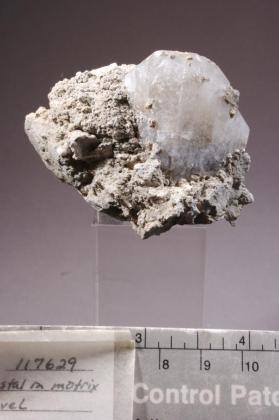 Colemanite