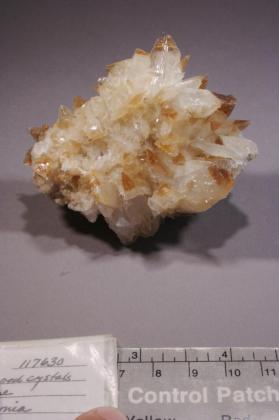 Colemanite