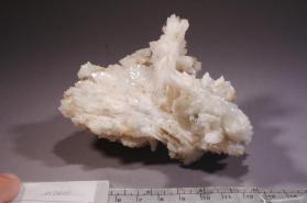 Colemanite