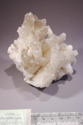 Colemanite