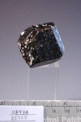 Dravite