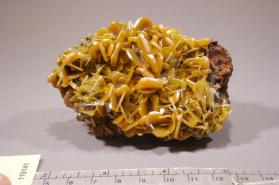 Wulfenite