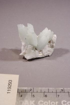 Pectolite