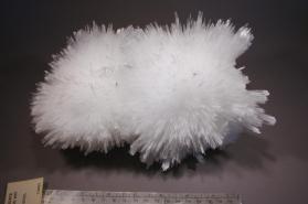 SCOLECITE