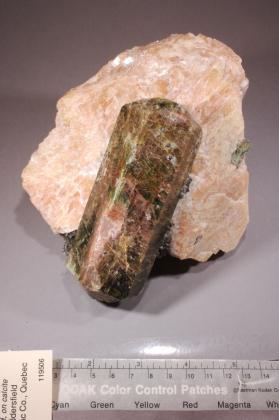 FLUORAPATITE