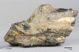 Columbite-(Fe)