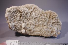 BARITE with Strontianite