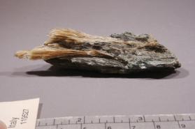 Balangeroite