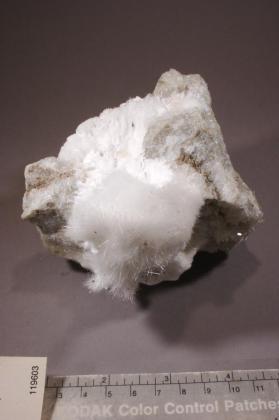 Ulexite