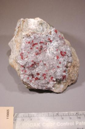 Newberyite