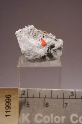 Brannockite