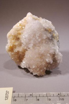 Creedite