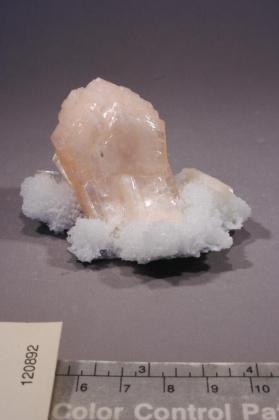 Stellerite