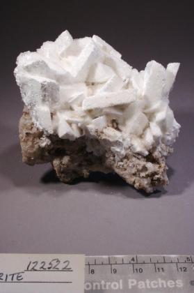 Meyerhofferite