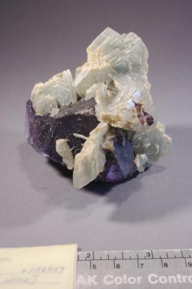 Charoite